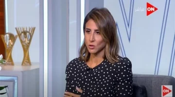 انفصال مفاجئ.. تفاصيل طلاق دينا غبور ورجل الأعمال شريف منير فخري عبد النور